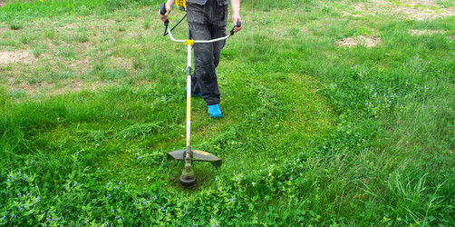 Similar image 21407763