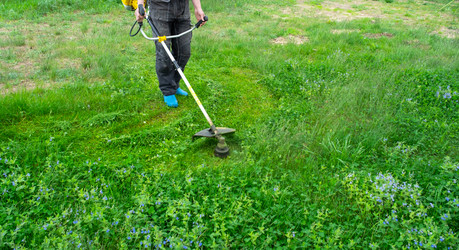 Similar image 21407764