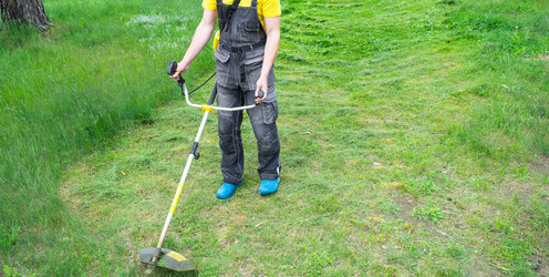 Similar image 21407872