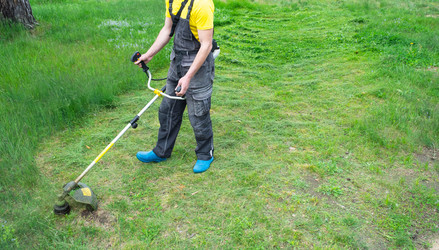 Similar image 21407873