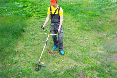 Similar image 21407878