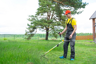 Similar image 21407881