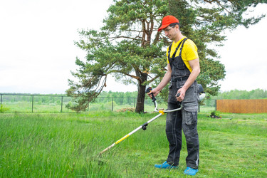 Similar image 21407882