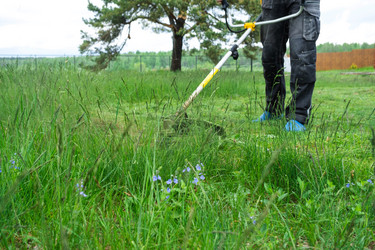 Similar image 21407885