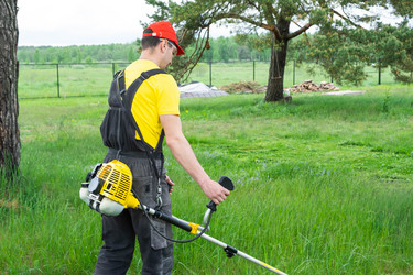 Similar image 21407888