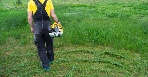 Similar image 21407891