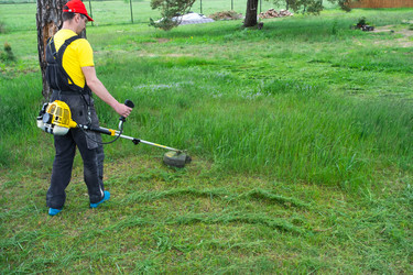 Similar image 21407892