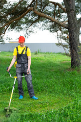 Similar image 21407903