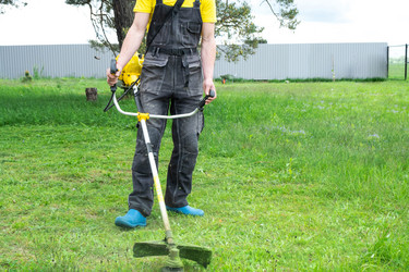 Similar image 21407904