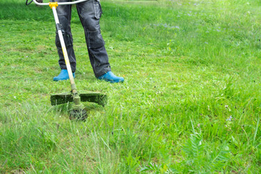 Similar image 21407905