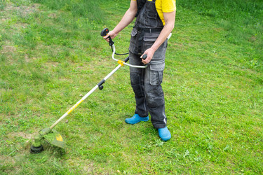 Similar image 21407775