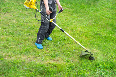 Similar image 21407780