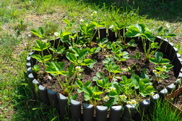 Similar image 21407782