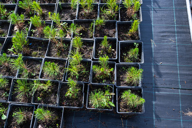 Similar image 21407793