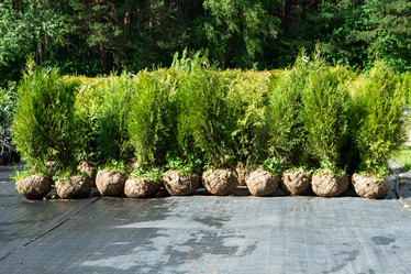 Similar image 21407795