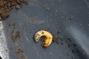 Similar image 21407796