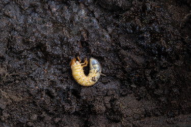 Similar image 21407797