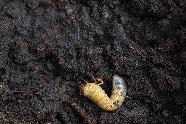 Similar image 21407798