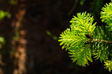 Similar image 21407800