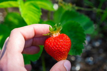 Similar image 21407805