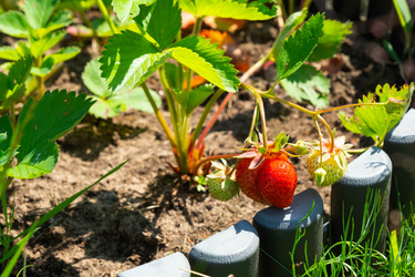 Similar image 21407807