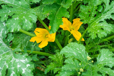 Similar image 21407809