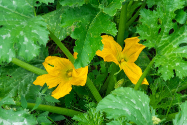 Similar image 21407810