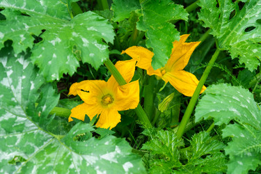 Similar image 21407812