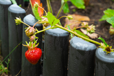 Similar image 21407814