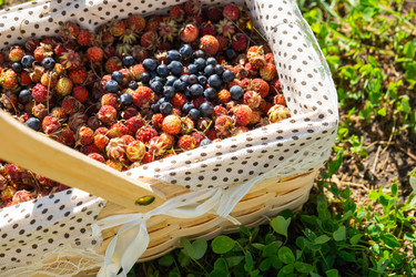 Similar image 21407815