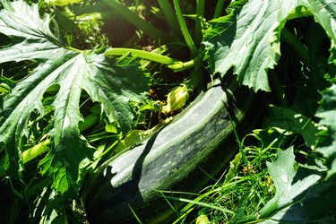 Similar image 21407816