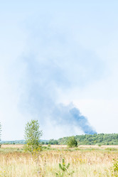 Similar image 21407824