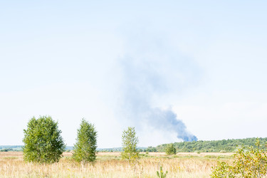 Similar image 21407825