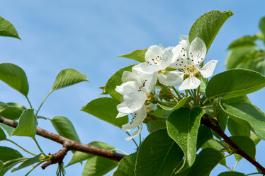 Similar image 21414530