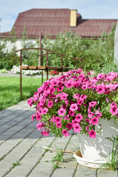 Similar image 21414533