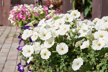 Similar image 21414534