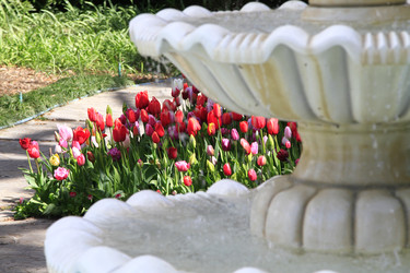 Similar image 21414535