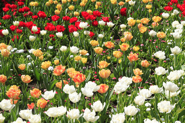 Similar image 21414536