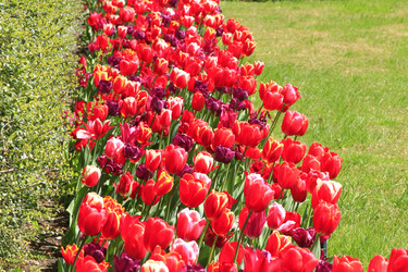 Similar image 21414540