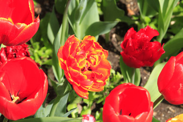 Similar image 21414541