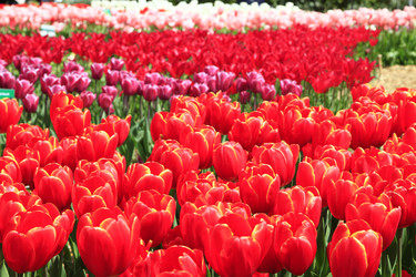 Similar image 21414543