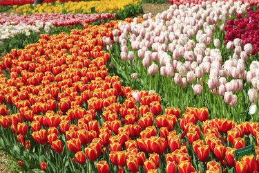 Similar image 21414544