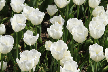 Similar image 21414545