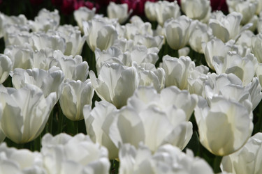 Similar image 21414546