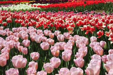 Similar image 21414547