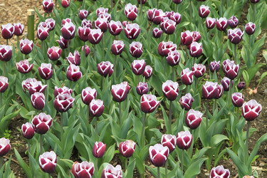 Similar image 21414548