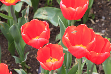 Similar image 21414549