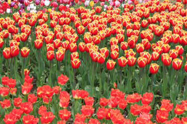 Similar image 21414550