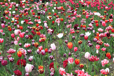 Similar image 21414551