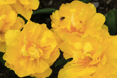 Similar image 21414552